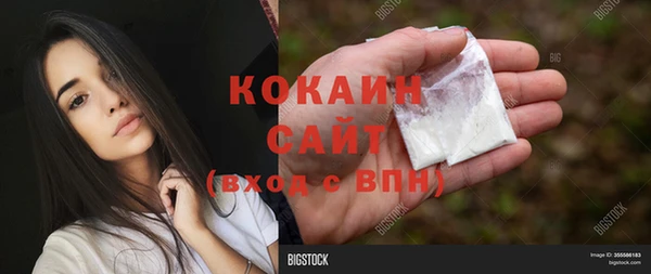 шишки Алексин