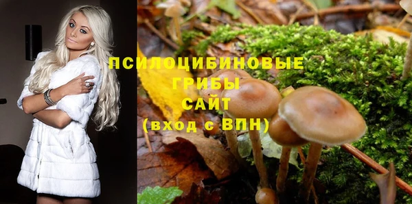 кокаин премиум Алексеевка
