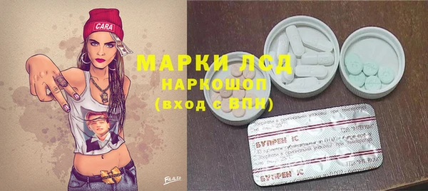 скорость Алзамай
